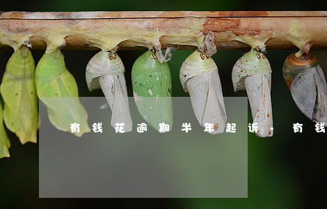 有钱花逾期半年起诉-有钱花逾期被起诉了