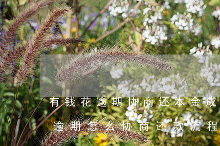 有钱花逾期协商还本金成功了怎么还（有钱花逾期怎么协商还款流程）