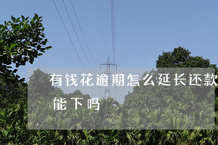 有钱花逾期怎么延长还款(有钱花有过逾期还能下吗)