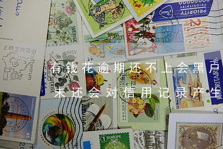 有钱花逾期还不上会黑户吗，警惕！有钱花逾期未还会对信用记录产生负面影响，成为黑户的风险不容忽视！