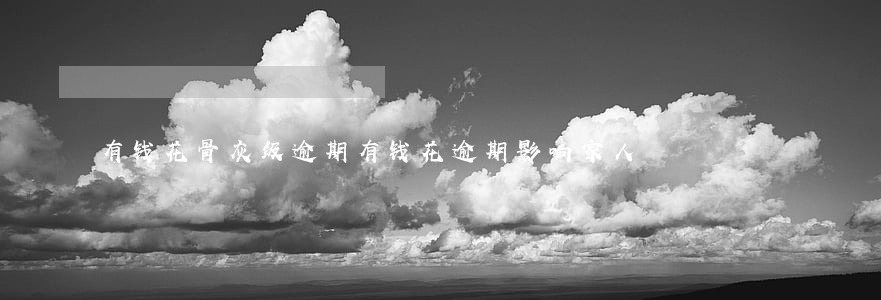 有钱花骨灰级逾期(有钱花逾期影响家人)