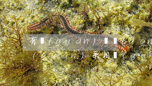 有關(guān)勞動(dòng)法律關(guān)系相關(guān)知識(shí)