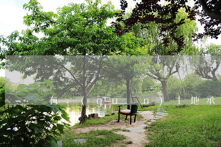 有關(guān)土地承包合同變更案例