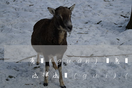 有關(guān)應急設(shè)施管理法律法規(guī)(我國有關(guān)突發(fā)事件,應急管理法律法規(guī)有哪些)