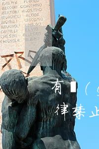 有關(guān)投標(biāo)人的法律禁止性規(guī)定