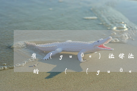 有關(guān)法律法規(guī)方面的詞語(關(guān)于法制的成語大全)