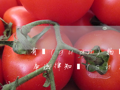 有關(guān)物權(quán)法的基本法律知識(shí)（一）