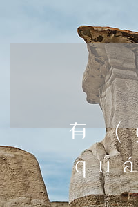 有關(guān)知識產(chǎn)權(quán)的知識
