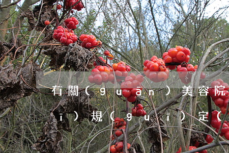 有關(guān)美容院的法律法規(guī)規(guī)定(有關(guān)美容美體的法律法規(guī))