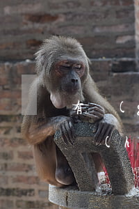 有關(guān)股票期權(quán)的會(huì)計(jì)處理