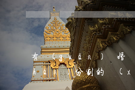 有關(guān)離婚財(cái)產(chǎn)分割的協(xié)議書(離婚協(xié)議書財(cái)產(chǎn)分割怎么寫)