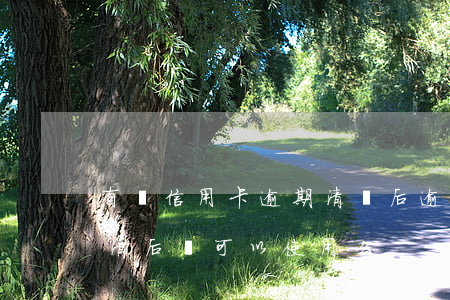 有關信用卡逾期清還后(逾期過后的信用卡還清后還可以使用么)