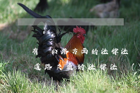 有關公路方面的法律法規(guī)(有關道路交通的法律法規(guī))