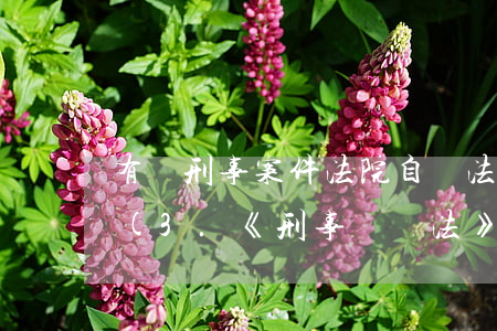 有關刑事案件法院自訴法律法規(guī)(3.《刑事訴訟法》規(guī)定的自訴案件有哪些)