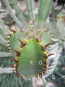 有關大學的法律法規(guī)(與大學生活有關的法律法規(guī))