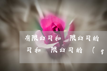 有限公司和無限公司的區(qū)別(有限公司和無限公司的區(qū)別在于)
