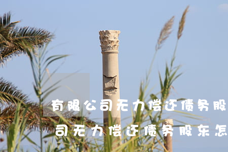 有限公司无力偿还债务股东怎么办-有限公司无力偿还债务股东怎么办理