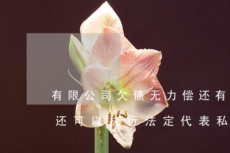 有限公司欠债无力偿还(有限公司欠债无力偿还可以执行法定代表私人财产吗)