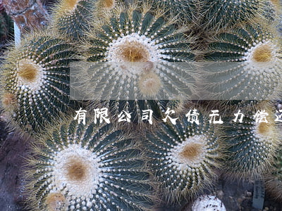 有限公司欠债无力偿还股东已实缴