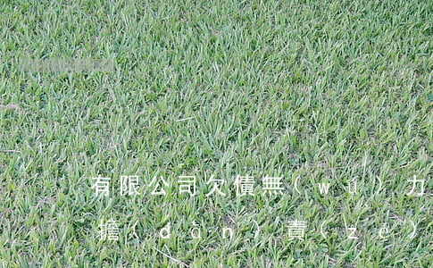 有限公司欠債無(wú)力償還法人需要承擔(dān)責(zé)任嗎-公司欠債了股東要一起承擔(dān)嗎