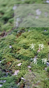 有限公司欠款無力償還法人本人資怎么樣-有限公司欠債無力償還法人會(huì)坐牢嗎