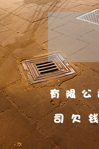 有限公司欠钱被起诉股东会怎么样-有限公司欠钱被起诉股东会怎么样处理