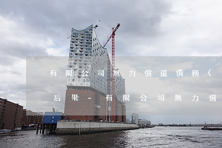 有限公司無力償還債務(wù)股東有什么后果-有限公司無力償還債務(wù)股東有什么后果嗎