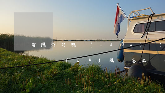 有限公司破產(chǎn)無(wú)力償還債務(wù)股東怎么辦-有限公司破產(chǎn)無(wú)力償還債務(wù)股東怎么辦理