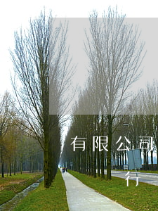有限公司破產(chǎn)無(wú)力償還銀行貸款怎么辦-有限公司破產(chǎn)無(wú)力償還銀行貸款怎么辦理