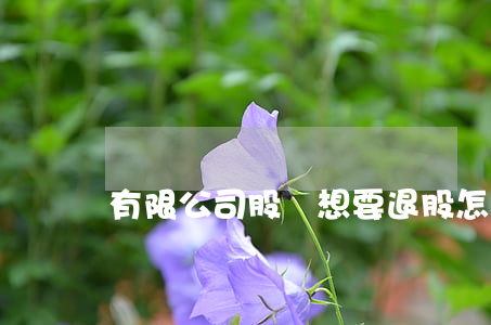 有限公司股東想要退股怎么辦？