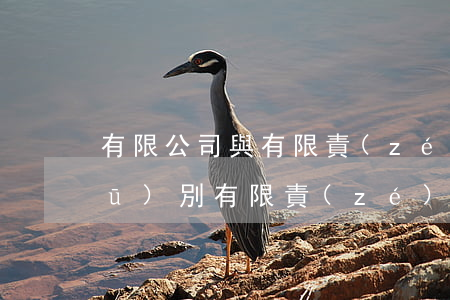 有限公司與有限責(zé)任公司的區(qū)別(有限責(zé)任公司和公司的區(qū)別)