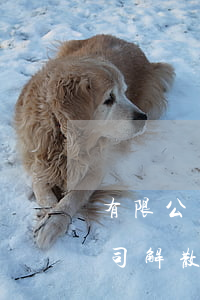 有限公司解散欠銀行的貸款怎么辦-有限公司解散欠銀行的貸款怎么辦理
