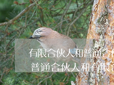 有限合伙人和普通合伙人的區別(合伙企業中普通合伙人和有限合伙人的區別)