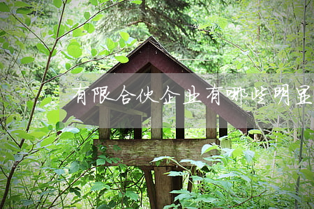 有限合伙企业有哪些明显的特点