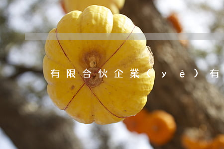 有限合伙企業(yè)有哪些明顯的特點