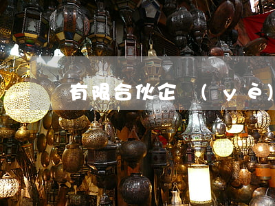 有限合伙企業(yè)的立法方式