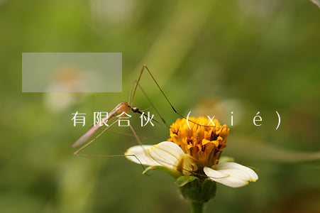 有限合伙協(xié)議