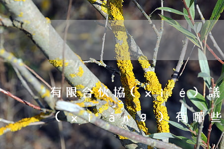 有限合伙協(xié)議中必須載明的事項(xiàng)有哪些