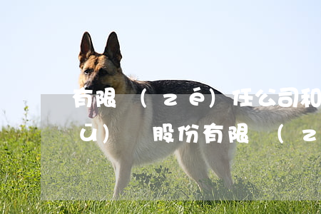 有限責(zé)任公司和有限公司的區(qū)別(股份有限責(zé)任公司和有限公司的區(qū)別)