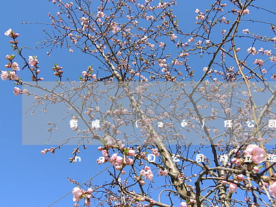 有限責(zé)任公司成立流程(項(xiàng)目公司成立流程)