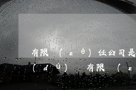 有限責(zé)任公司是什么意思(自然人獨(dú)資有限責(zé)任公司是什么意思)