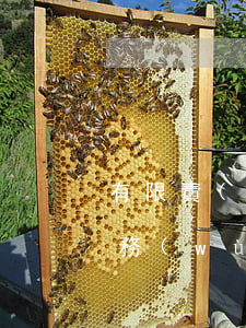 有限責(zé)任公司無(wú)力償還債務(wù)該如何執(zhí)行-有限責(zé)任公司無(wú)力償還債務(wù)該如何執(zhí)行呢