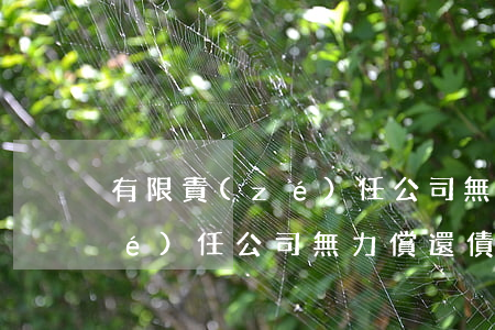 有限責(zé)任公司無力償還 有限責(zé)任公司無力償還債務(wù),該如何執(zhí)行