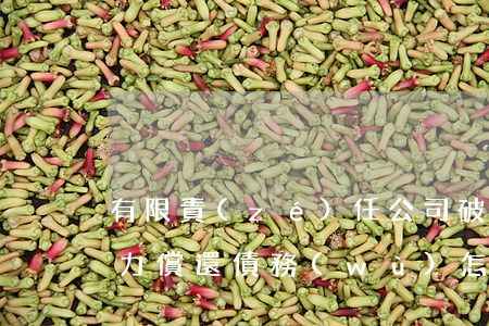 有限責(zé)任公司破產(chǎn)無力償還債務(wù)怎么辦-有限責(zé)任公司破產(chǎn)無力償還債務(wù)怎么辦理