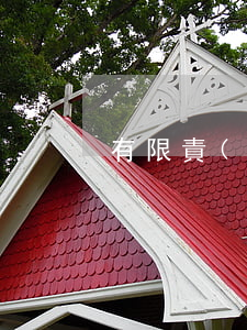 有限責(zé)任公司股東人數(shù)