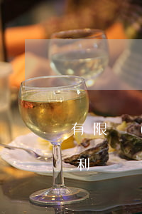 有限責(zé)任公司股東權(quán)利與責(zé)任