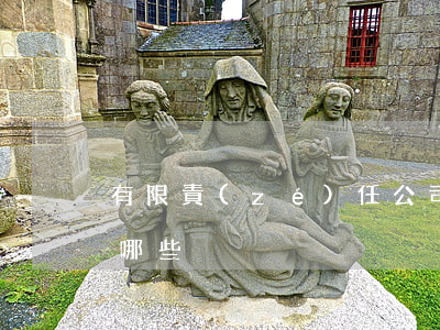 有限責(zé)任公司股東義務(wù)有哪些?