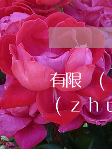 有限責(zé)任公司股權(quán)轉(zhuǎn)讓協(xié)議