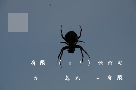 有限責(zé)任公司銀行貸款無(wú)力償還怎么辦-有限責(zé)任公司銀行貸款無(wú)力償還怎么辦理
