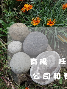 有限責任公司和有限公司區(qū)別(有限公司和有限責任公司有什么區(qū)別?)